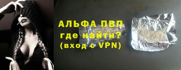 индика Баксан