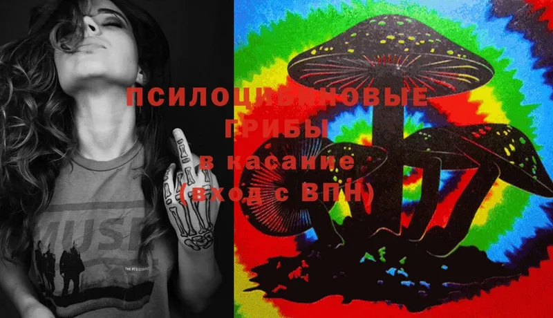 Псилоцибиновые грибы MAGIC MUSHROOMS  купить закладку  Белокуриха 